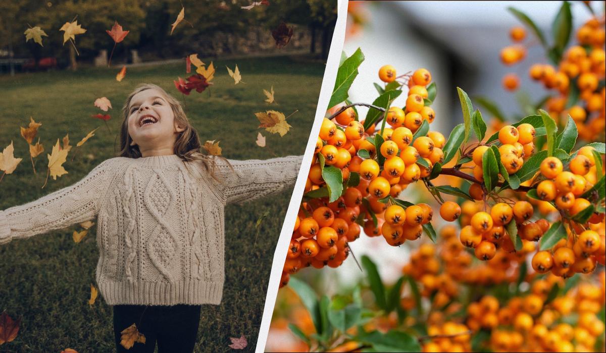 Що заборонено робити жінкам: свята 6 листопада 2025 та прикмети на удачу Що заборонено робити жінкам: свята 6 листопада 2025 та прикмети на удачу